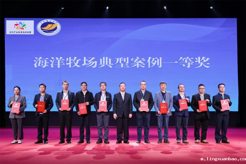 我系崔淼副教授荣获2024年广...