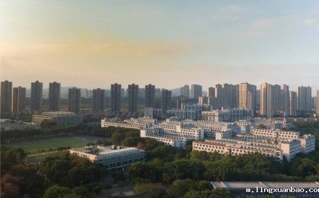 东莞理工学院。