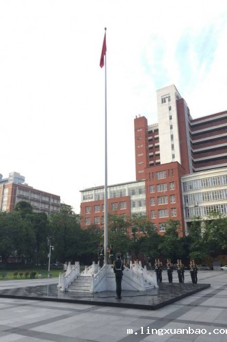 图片15