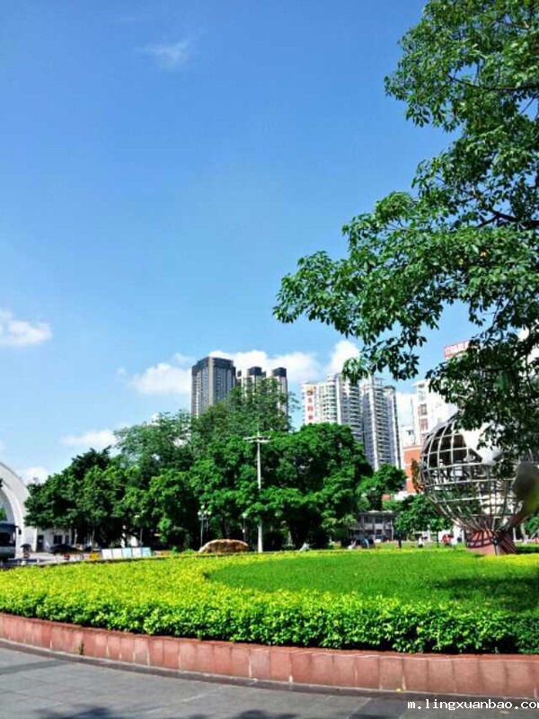 阳光下的大花坛
