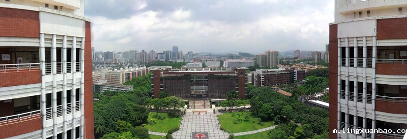眺望图书馆广场